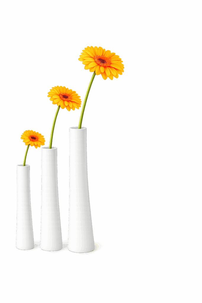 Rückführung
